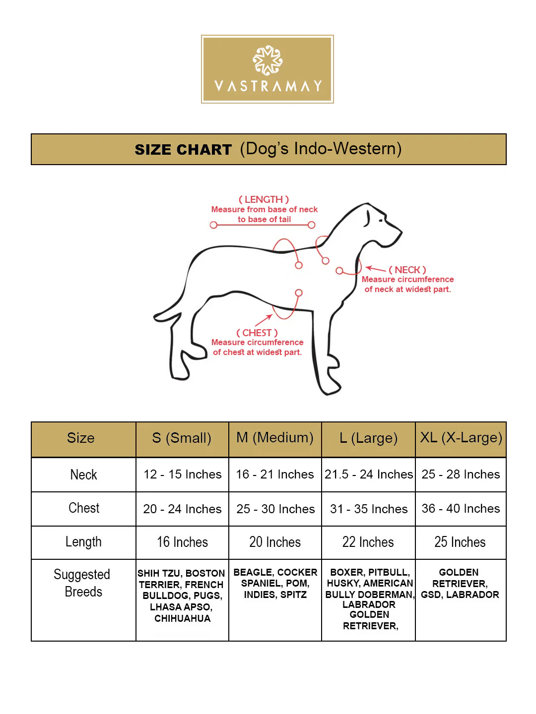 Dogs Solid Indo-Western - Image 7