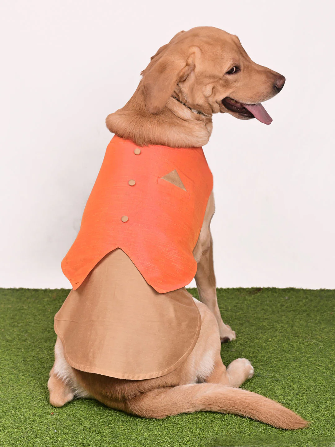 Dogs Solid Sleeveless Indo-Western